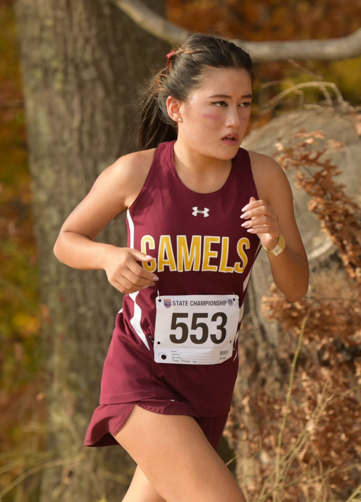 3A NCHSAA cross country championships